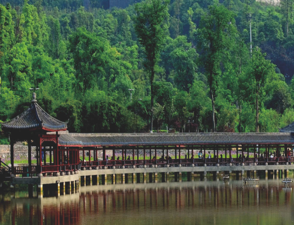 重庆市龙头寺公园场地及绿化工程-全国市政金杯奖